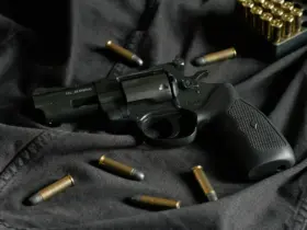 Quanto Custa um Revólver .38 de 7 Tiros? Entenda o Valor e os Fatores que Influenciam a Compra 39 revolver 38 balas