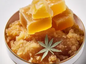 Crumble vs. Maconha: Qual é Realmente Mais Potente? 30 Crumble de Maconha