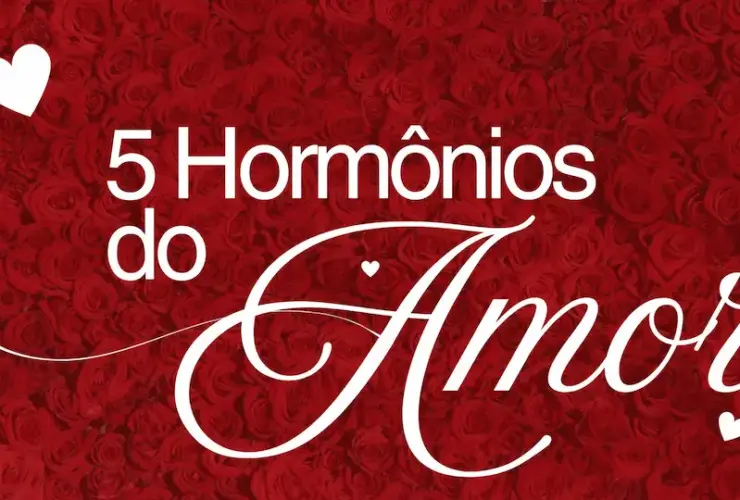 Os 5 Hormônios do Amor: Como Eles Influenciam Nossas Emoções e Relacionamentos 27 Red and White Simple Love Presentation