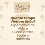 Post para Instagram Voce Sabia Informativo Bege